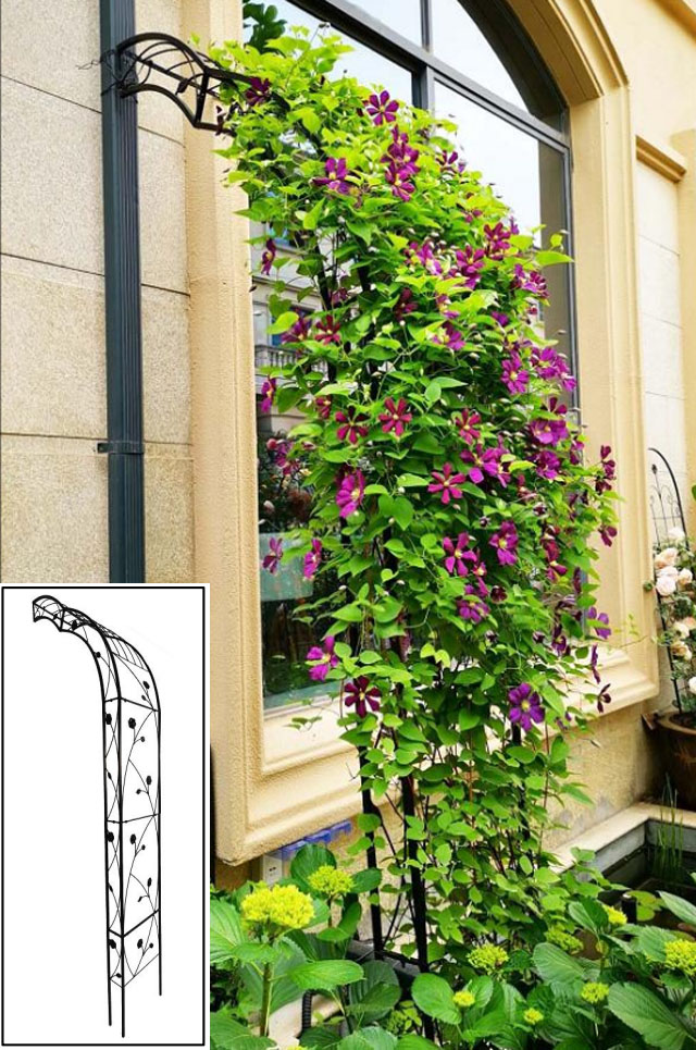 Outdoor Garden Arch