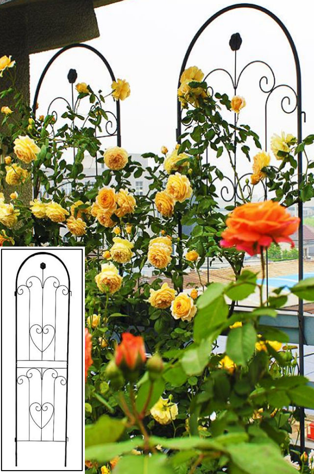 Garden Trellis