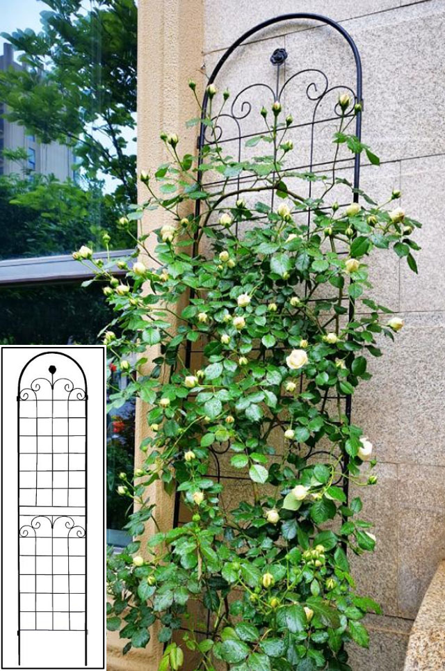 Spring Metal Garden Trellis
